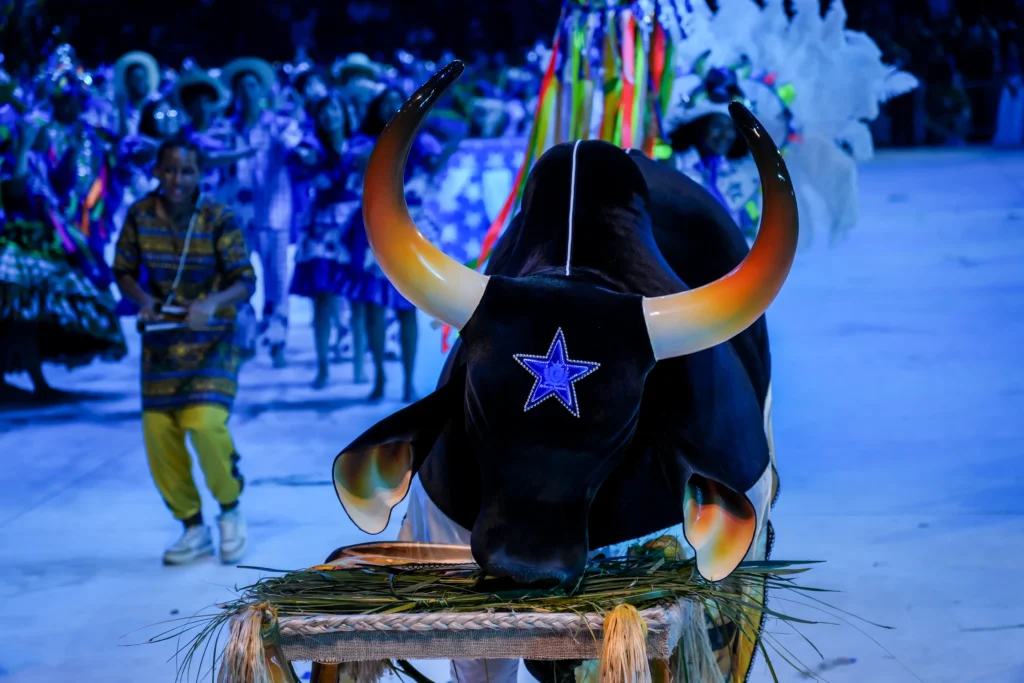 O reluzente boi preto de Parintins.
