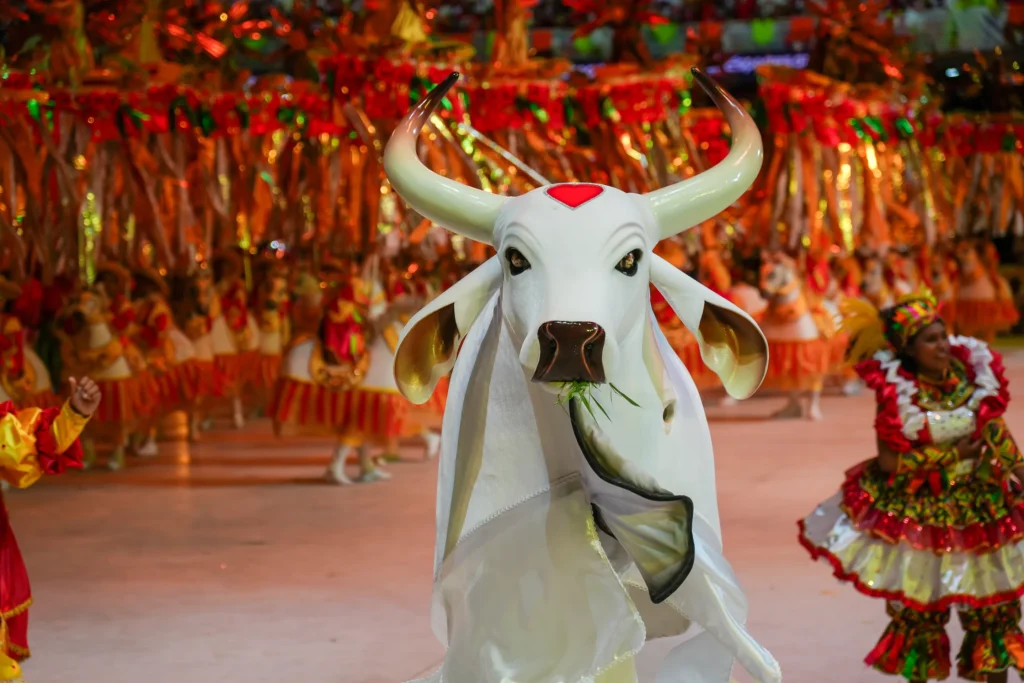 O majestoso boi branco de Parintins.